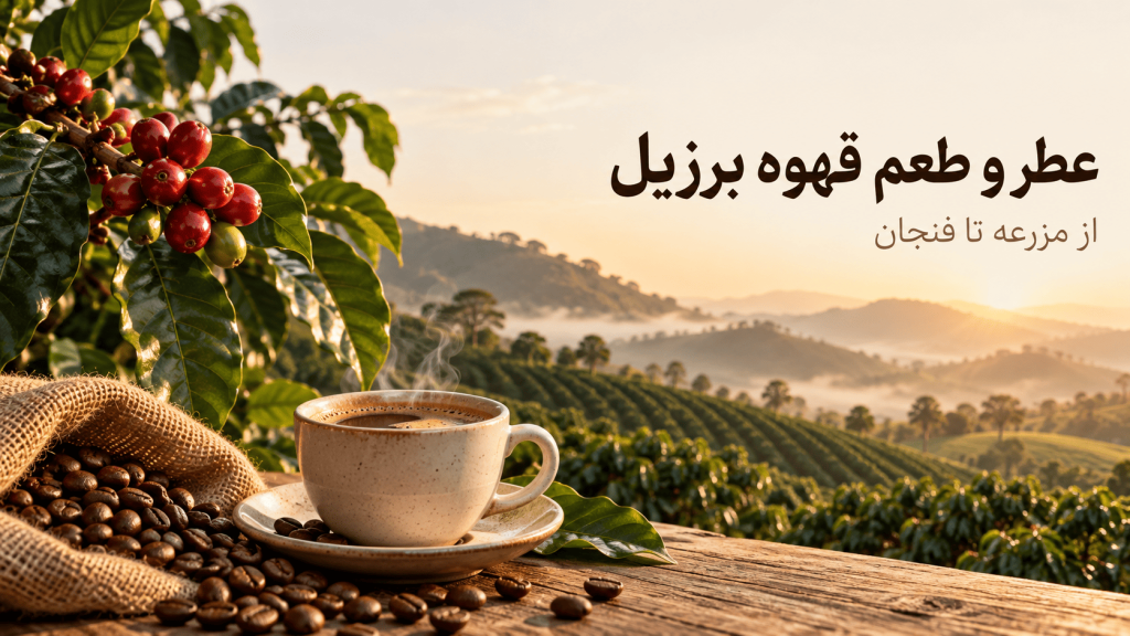 عطر و طعم قهوه برزیل