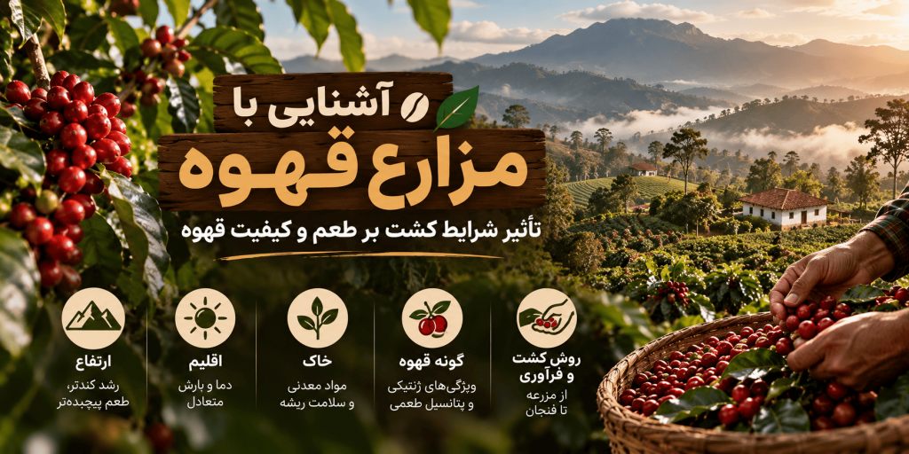 آشنایی با مزارع قهوه
