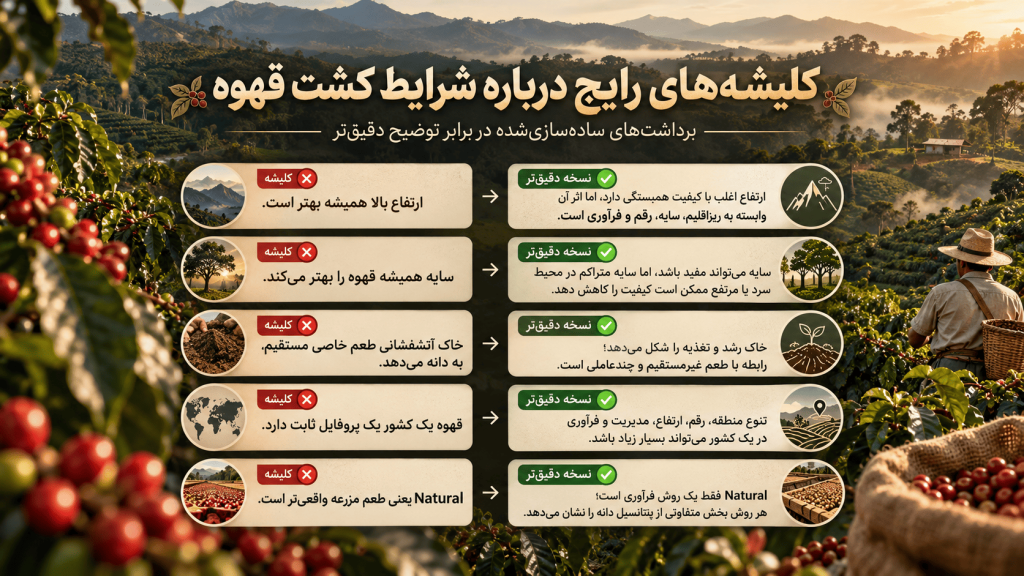 کلیشههای رایج درباره شزایط کشت قهوه