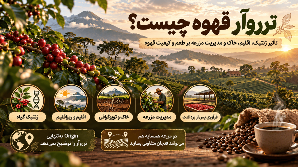 Terroir قهوه چیست؟