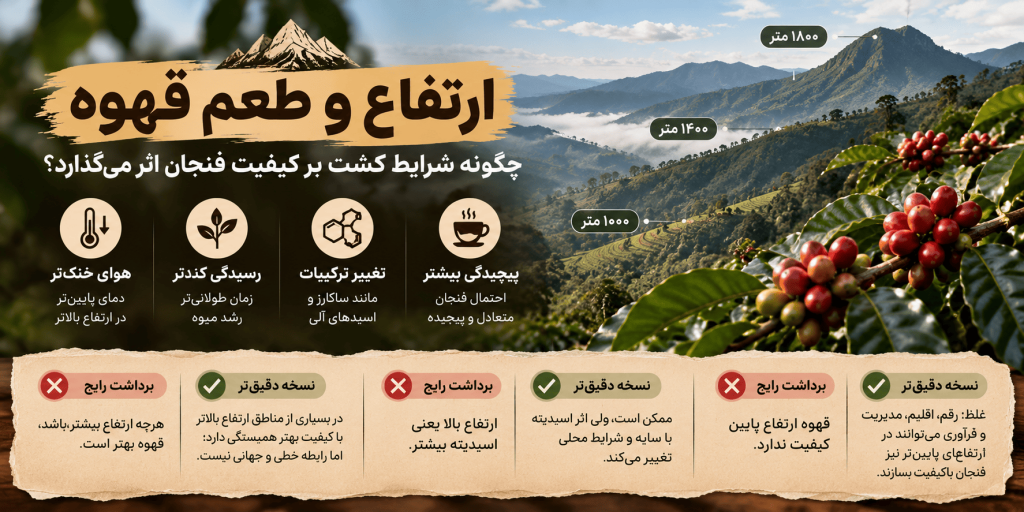 ارتفاع و طعم قهوه
