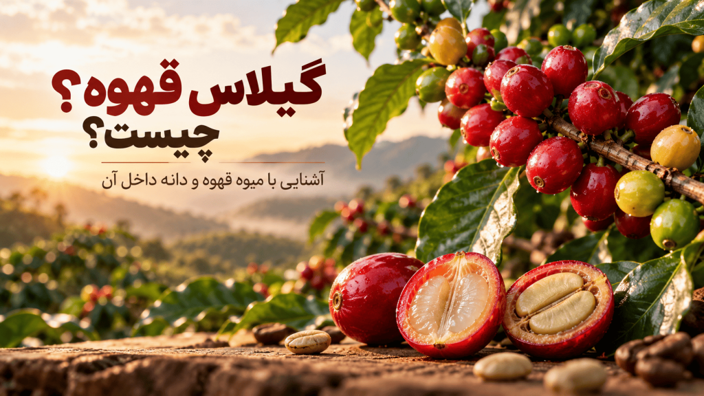 گیلاس قهوه چیست؟