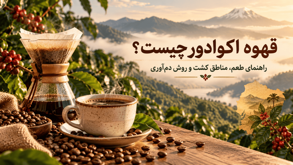 قهوه اکوادور چیست؟