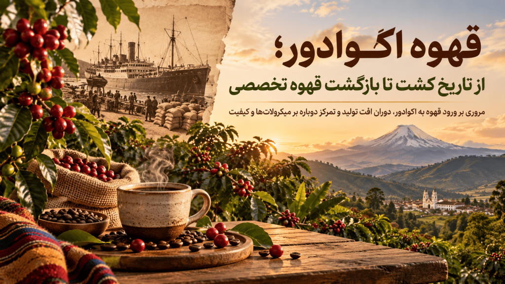 قهوه در اکوادور؛ از تاریخ کشت تا بازگشت قهوه تخصصی