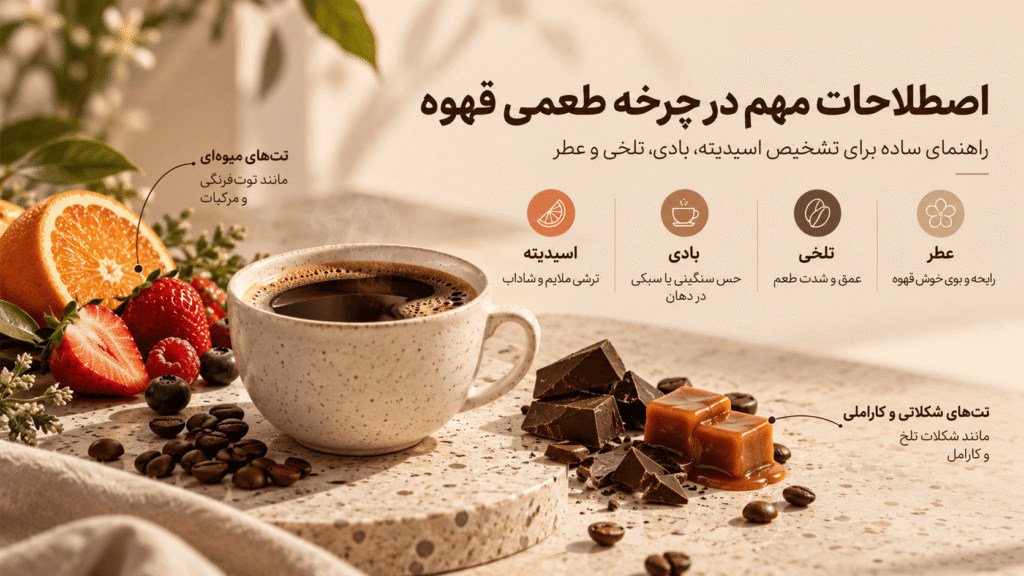 اصطلاحات مهم در چرخه طعمی قهوه