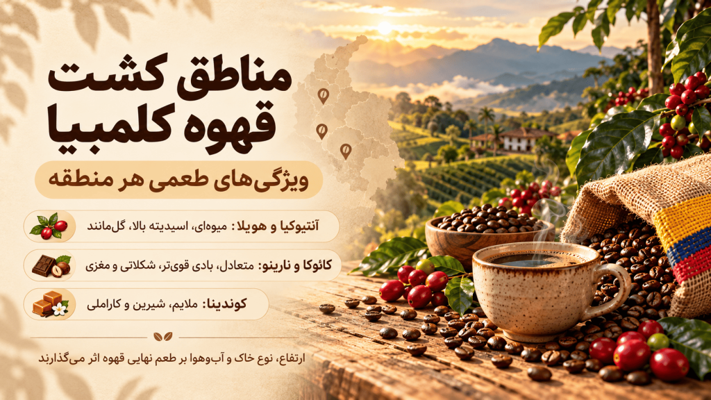 خرید قهوه کلمبیا اصل — تصویر تکمیلی 3