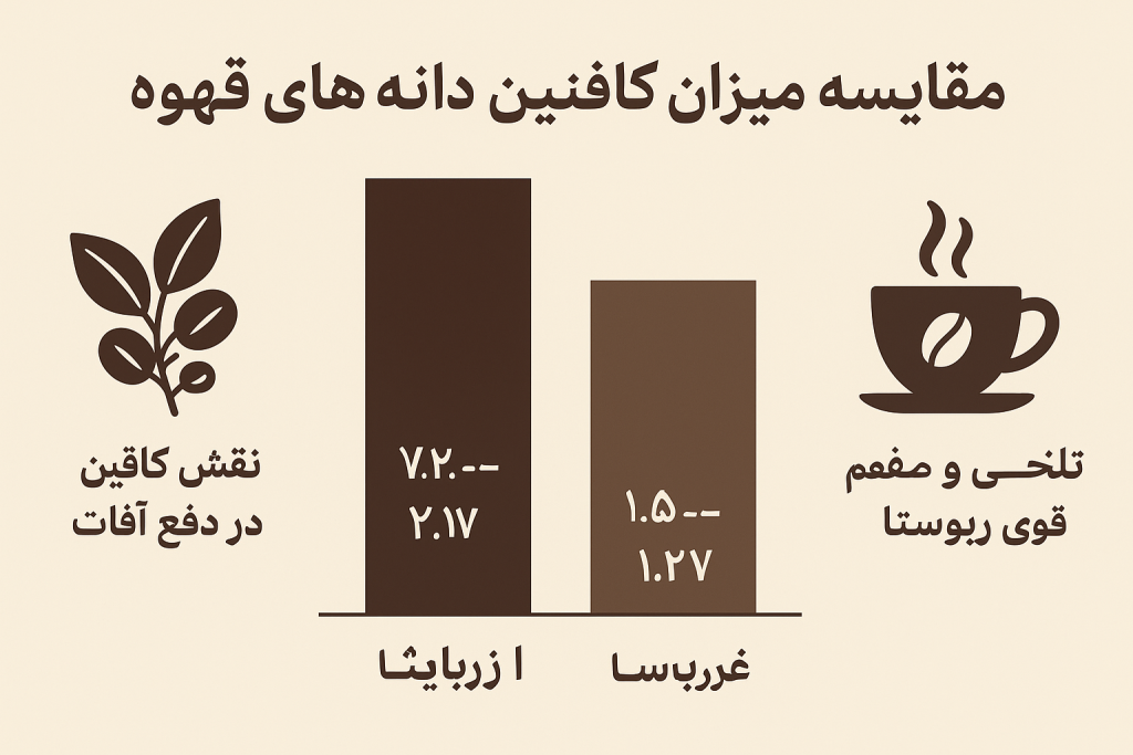 اینفوگرافیک مقایسه کافئین روبوستا و عربیکا