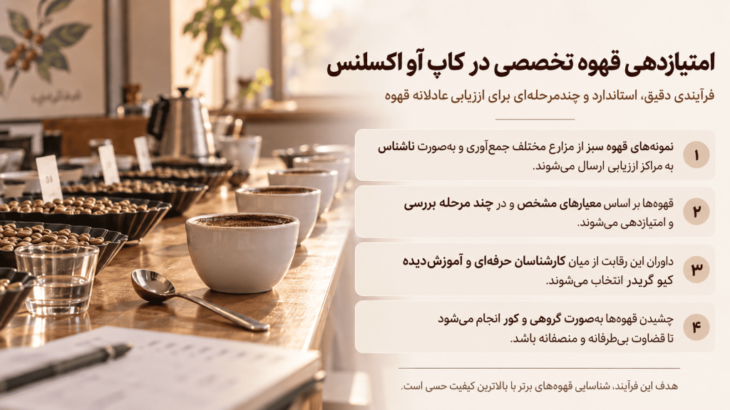 امتیازدهی قهوه تخصصی در کاپ آو اکسلنس