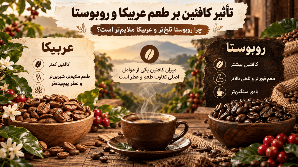 کافئین روبوستا و عربیکا — تصویر تکمیلی 3